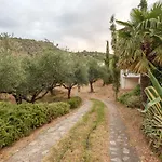 Panagea 아파트 *